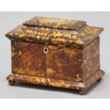 GEORGE III TORTOISHELL TEA CADDY, with twin canister interior, on ball feet, height 15cm, width