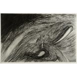•LOUISE BOURGEOIS (1911-2010) STORM AT ST HONORE Etching, 1994, signed and dated, numbered 28/100