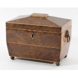YEW WOOD TEA CADDY 19th century of sarcophagus form with brass lion head handles and ball feet,