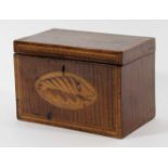 GEORGE III SYCAMORE TEA CADDY of rectangular form with shell inlay and twin canister interior,