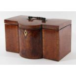 GEORGE III SATINWOOD TEA CADDY of break bow-fronted form, the top with inlaid swags and brass