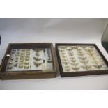 THREE CASES OF BUTTERFLIES & MOTHS 3 wooden and glazed cases with a variety of British and Foreign