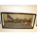 CASED GOLDEN PHEASANTS two cased Golden Pheasants, in a glazed and wooden case. With a label for L