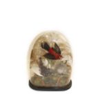 CASED BIRDS & GLASS DOME 3 exotic birds, mounted amongst foliage and with a wooden plinth and