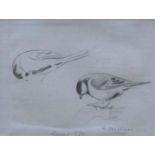 ARCHIBALD THORBURN (1860-1935) GREAT TIT STUDIES; MAGPIE STUDIES Two, the former signed but with