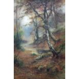 THOMAS TAYLER IRELAND (Fl.1880-1927) AN AUTUMN GLADE Signed, watercolour 51.5 x 34cm. ++ Good