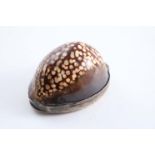 A GEORGE III MOUNTED COWRIE-SHELL SNUFFBOX with a plain hinged cover, by Daniel Hockly, London 1815;