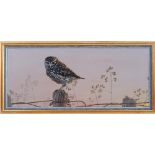 •KARL TAYLOR LITTLE OWL: EVENING HAUNT IN GLOUCESTERSHIRE Signed, oil on masonite 24.5 x 59.5cm.