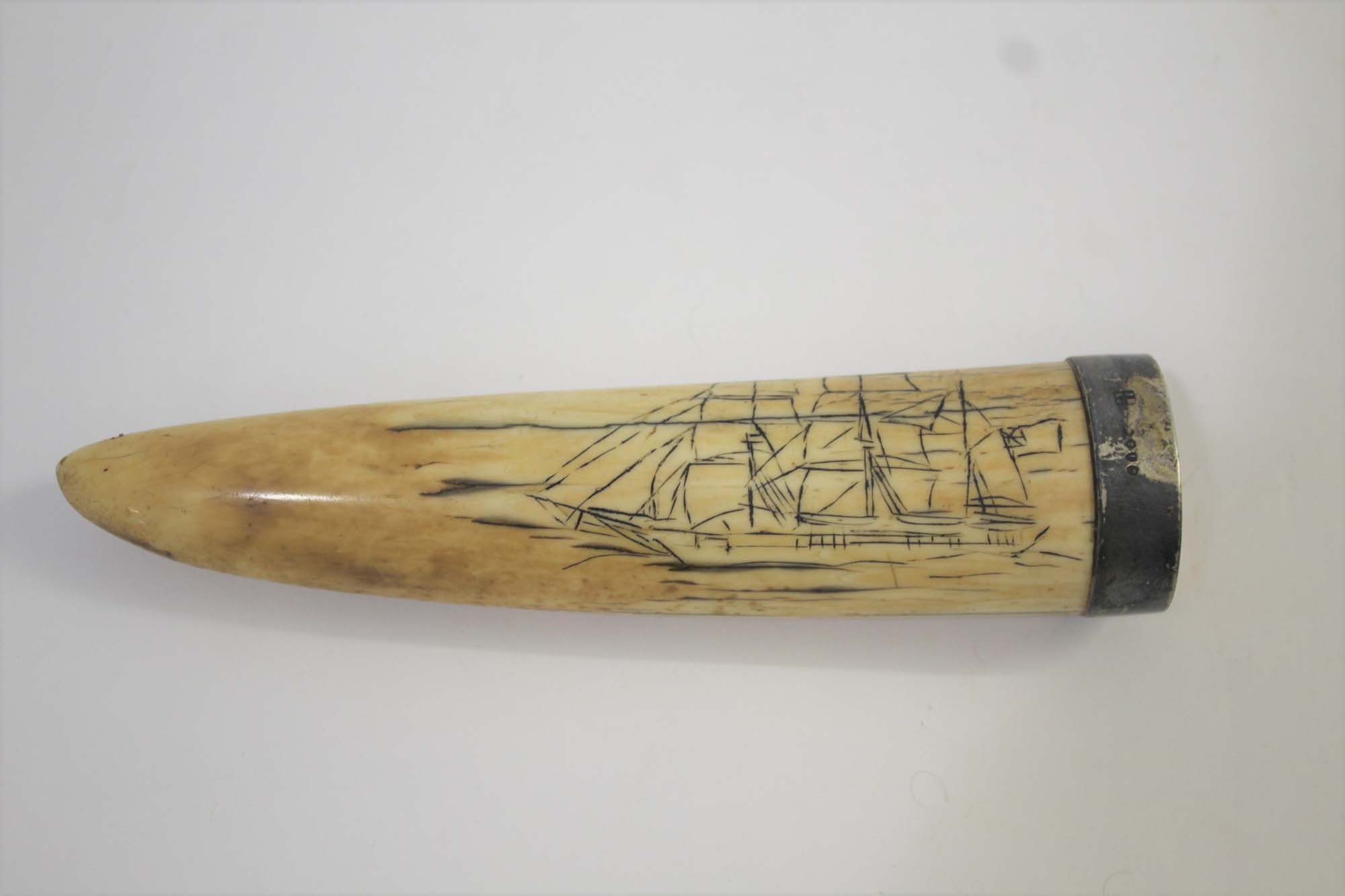 SCRIMSHAW - SILVER MOUNTED CARVED TUSK probably a Walrus tusk, carved on one side with a Sailing