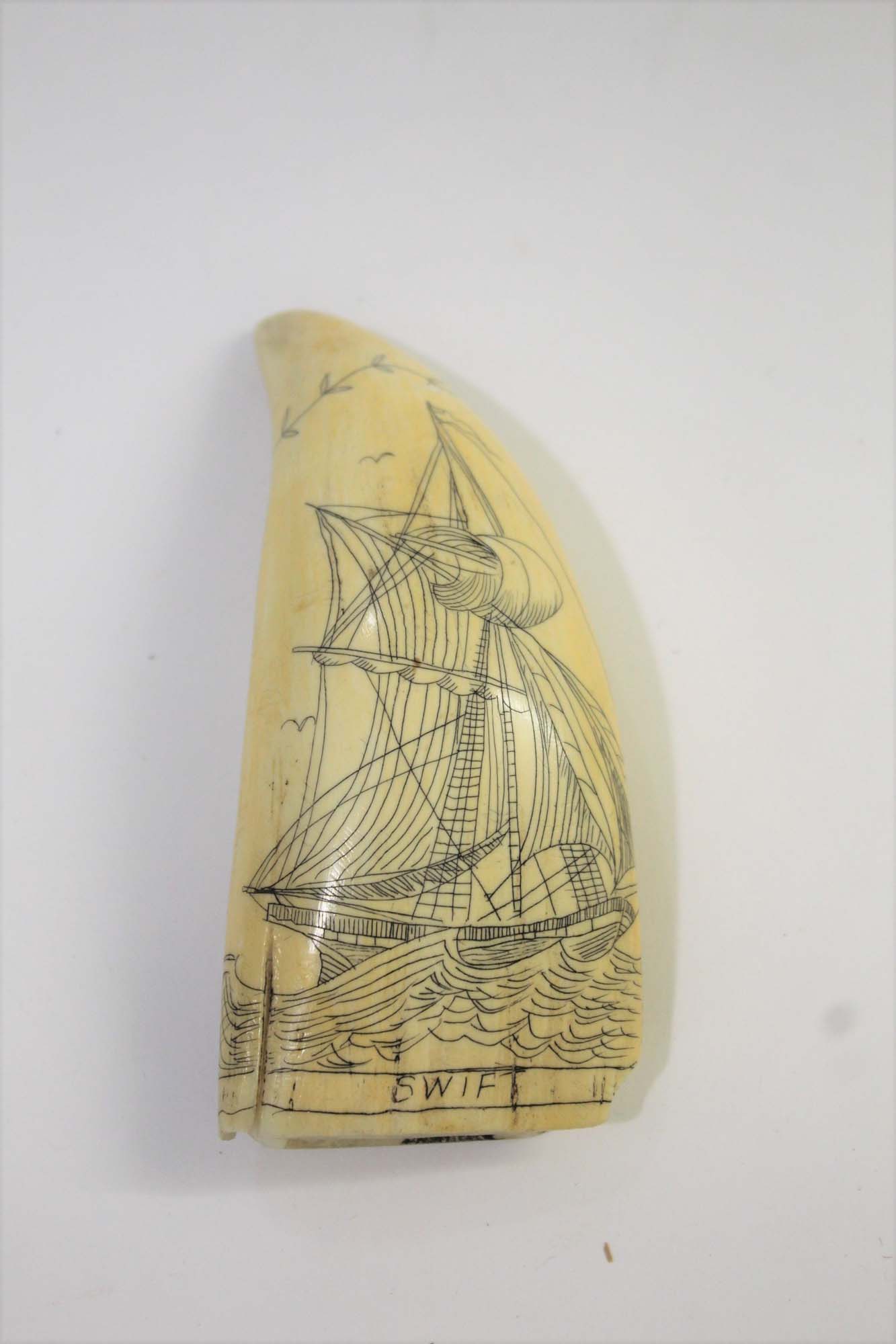 19THC SCRIMSHAW a Whale's tooth carved with a Ship on water and titled Swift on one side, the