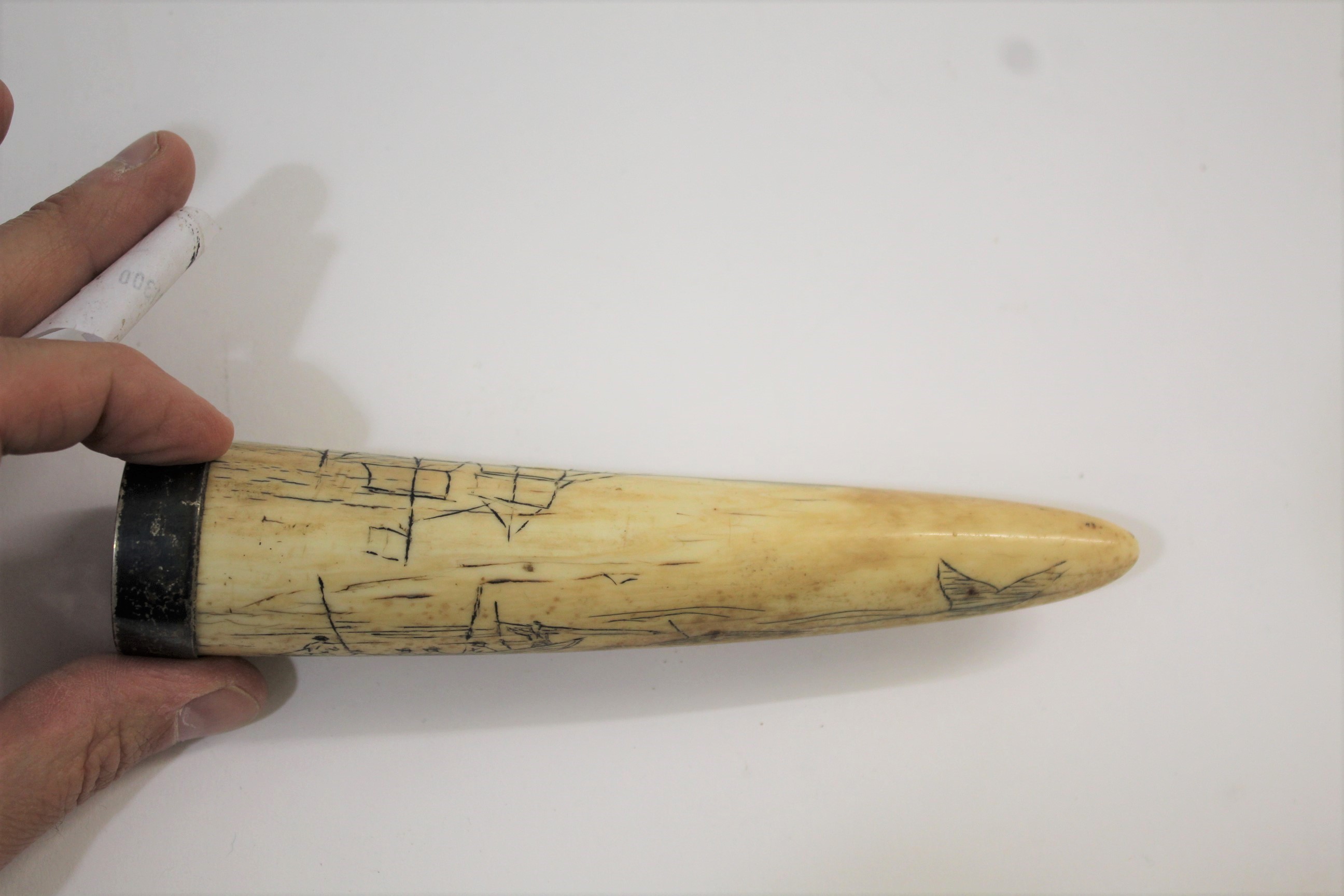 SCRIMSHAW - SILVER MOUNTED CARVED TUSK probably a Walrus tusk, carved on one side with a Sailing - Image 4 of 5