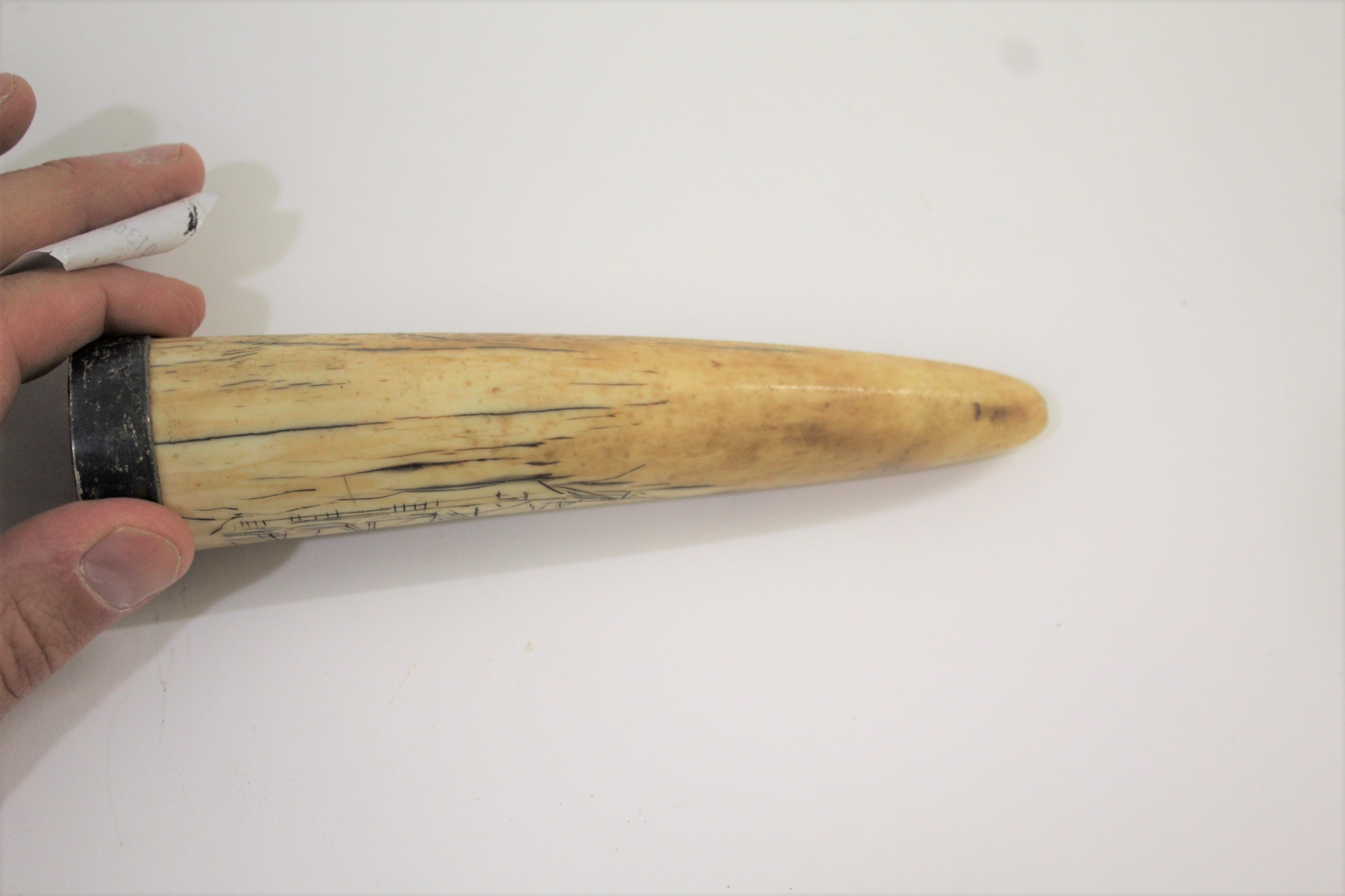 SCRIMSHAW - SILVER MOUNTED CARVED TUSK probably a Walrus tusk, carved on one side with a Sailing - Image 5 of 5