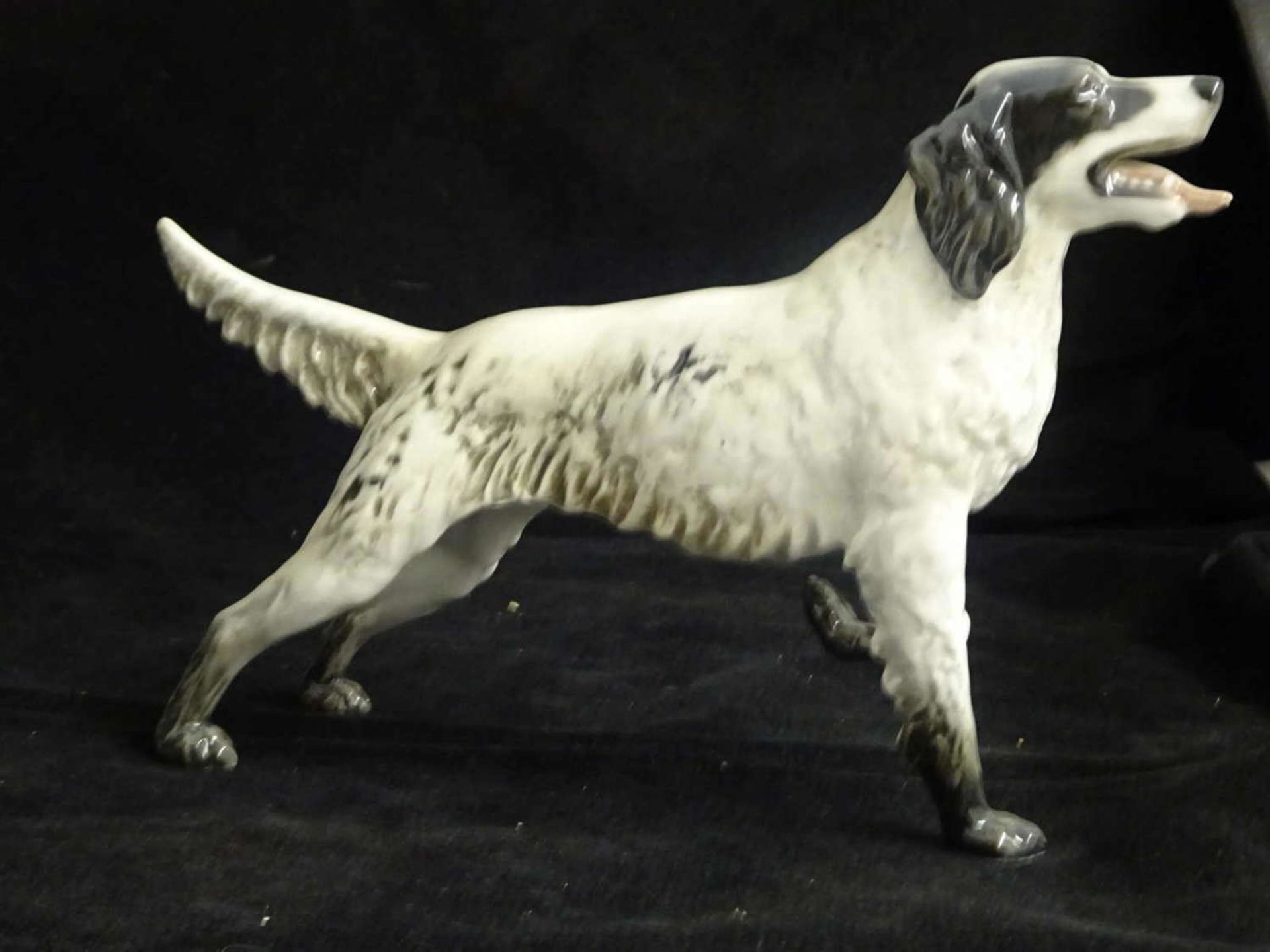 Rosenthal Porzellanfigur Hund "Englischer Setter", Entwurf Fritz Heidenreich. Gemarkt mit - Bild 2 aus 3