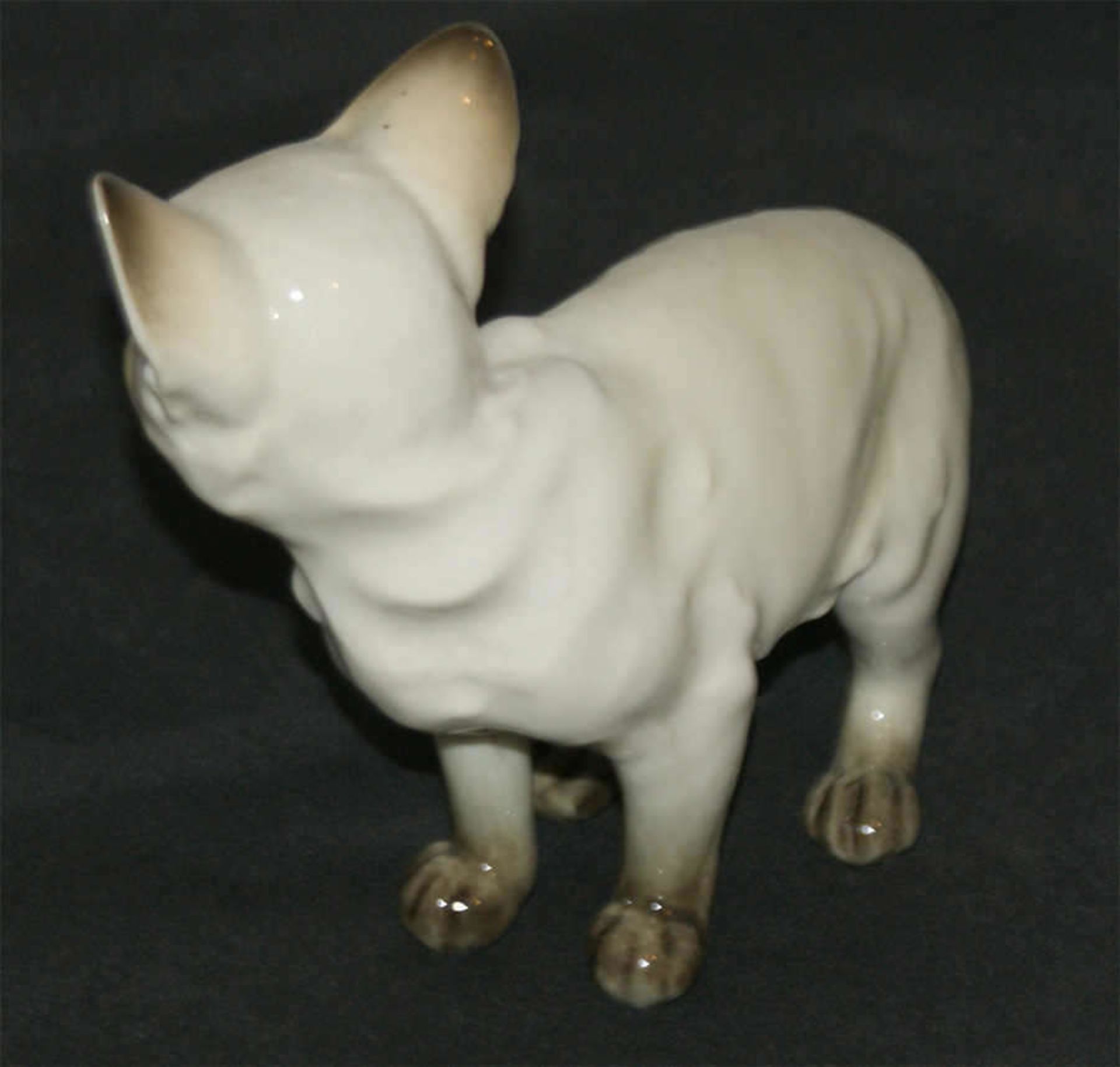Hutschenreuther Porzellanfigur "Siamkatze", gemarkt mit Hutschenreuther Löwe und Germany. Mit 1 - Bild 2 aus 3