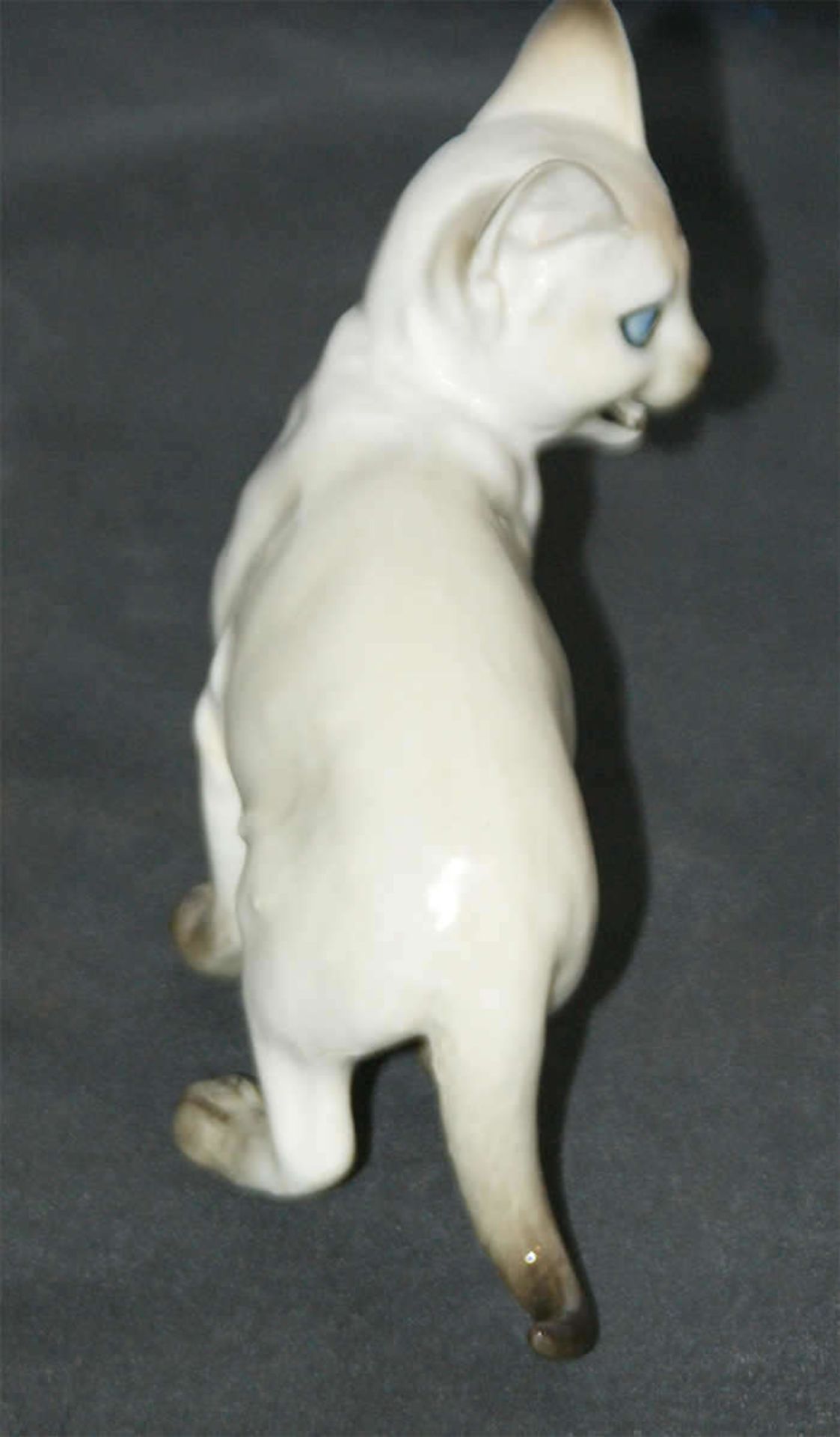 Hutschenreuther Porzellanfigur "Siamkatze", gemarkt mit Hutschenreuther Löwe und Germany. Mit 1 - Bild 3 aus 3