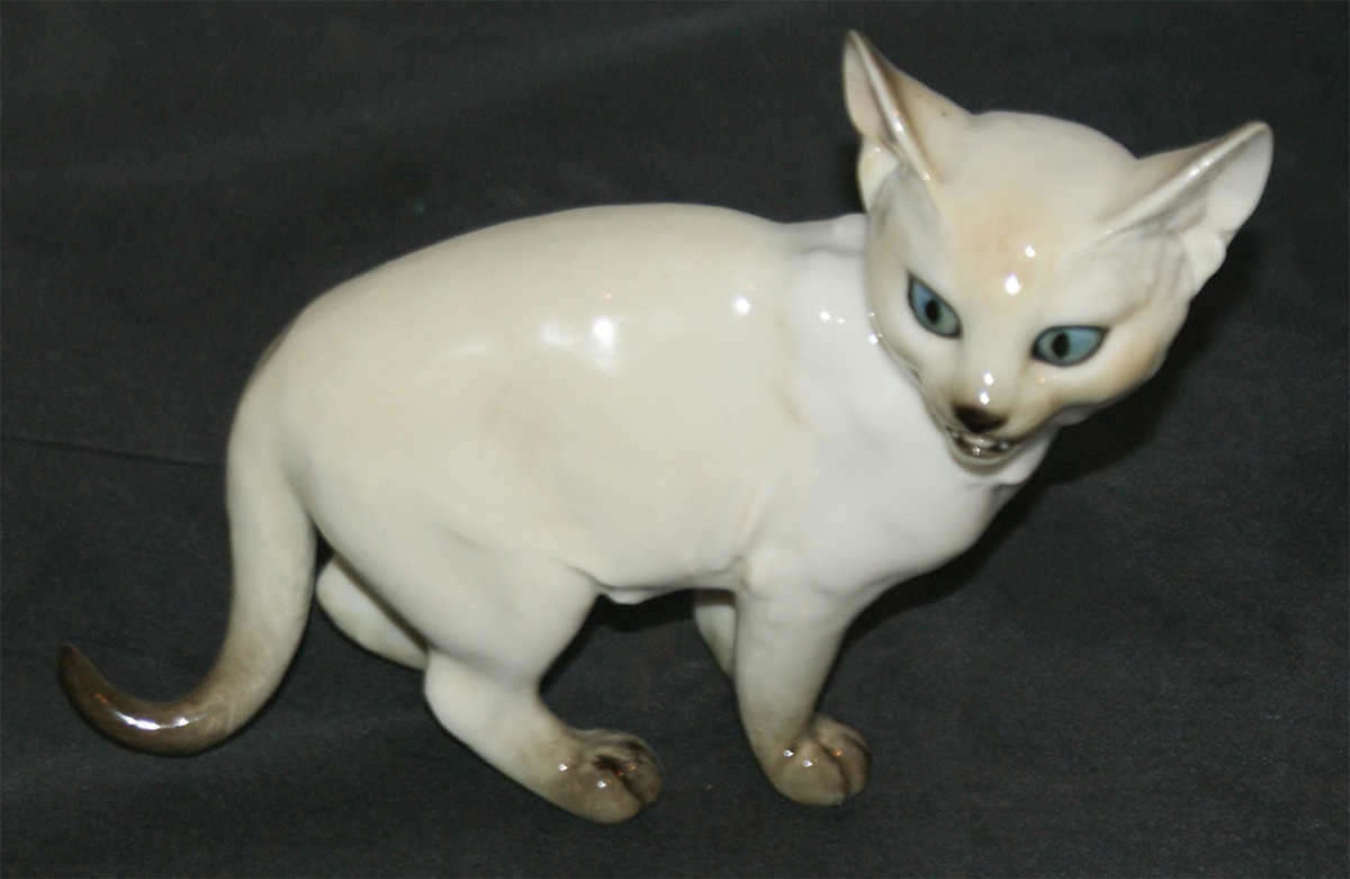 Hutschenreuther Porzellanfigur "Siamkatze", gemarkt mit Hutschenreuther Löwe und Germany. Mit 1