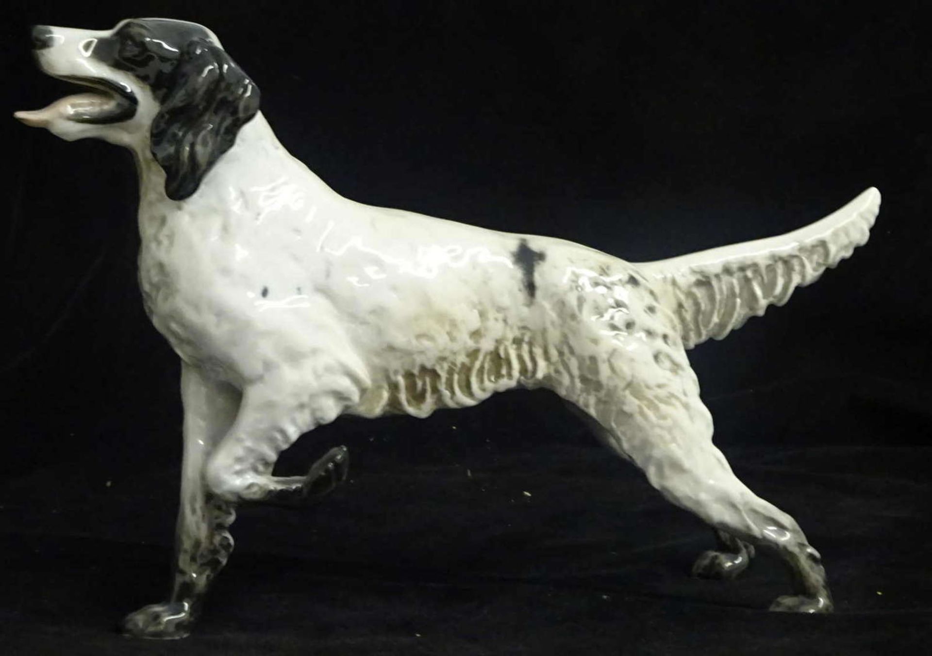 Rosenthal Porzellanfigur Hund "Englischer Setter", Entwurf Fritz Heidenreich. Gemarkt mit