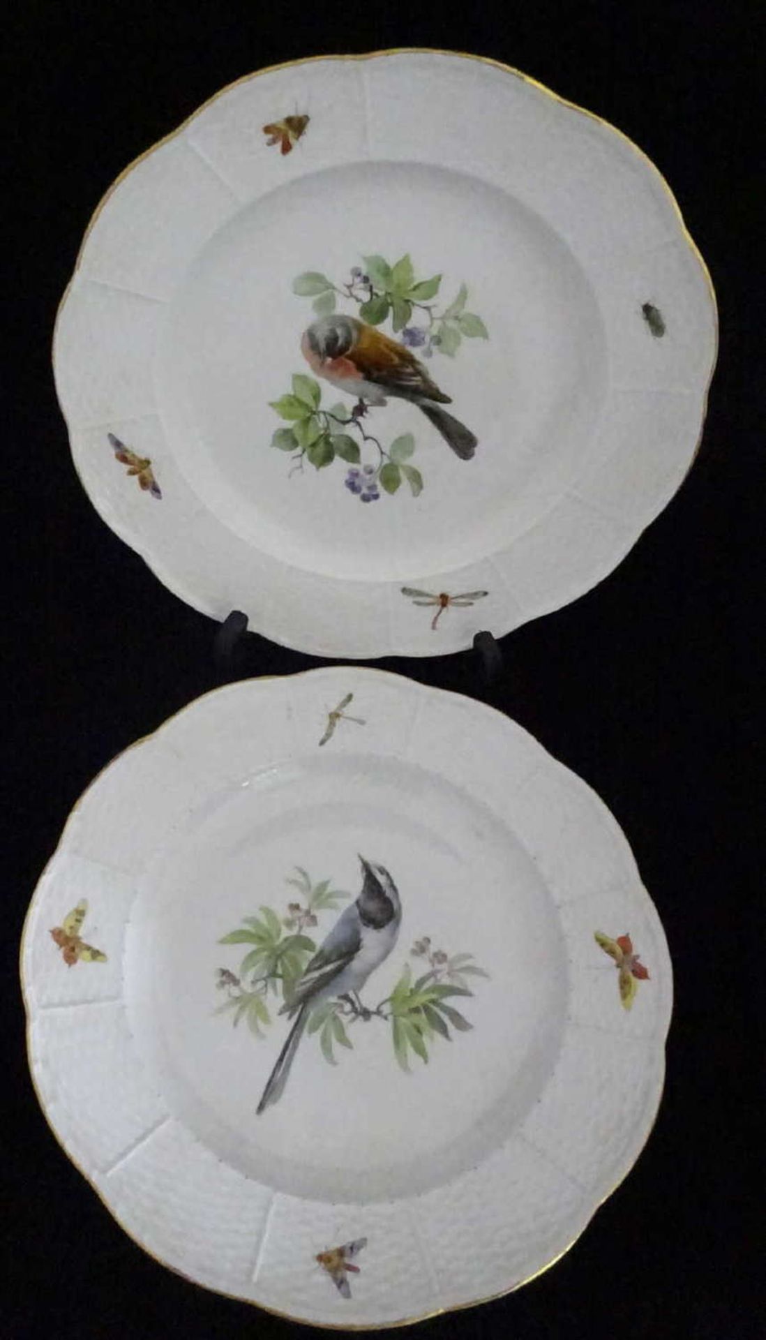2 Meissen Teller mit Vogel Motiv und Insektenmalerei, Osier Relief, 1. Wahl, Durchmesser ca. 25,5