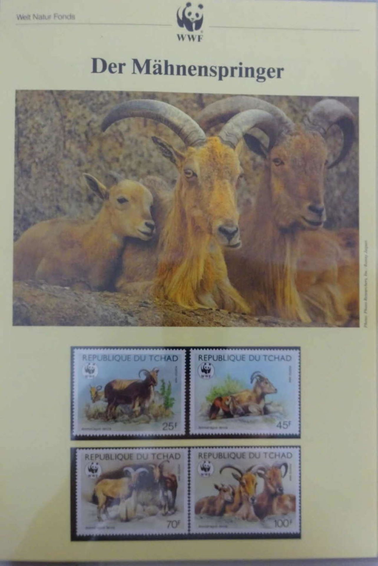 "Tierwelt" im Album, 86 Blätter WWF Foundation. 2 Stück mit leere Hawittasche. Bitte besichtigen" - Image 2 of 3