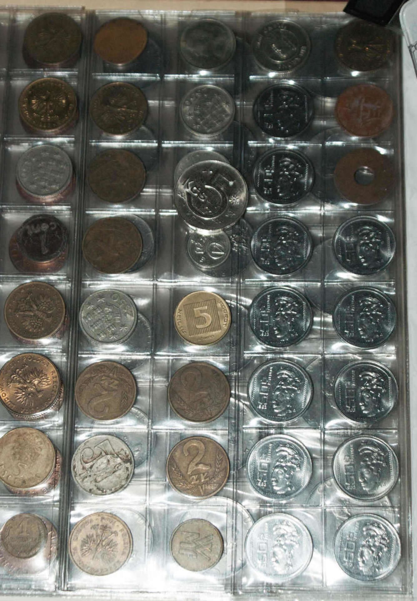 schöner Münznachlass in etlichen Münzalben, sowie zahlreiche Münzblätter.Dabei sehr viele Münzen aus - Bild 2 aus 3
