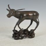 A Chinese bronze water buffalo on pierced and carved wood stand, Qing Dynasty, the water buffalo