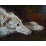 Late 19th/ early 20th century British School Portrait of a Borzoi oil on board 35.5cm x 45.5cm