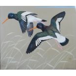 AR Ralston Gudgeon RSW (1910-1984) Oystercatchers watercolour, signed lower right 49.5cm x 60cm