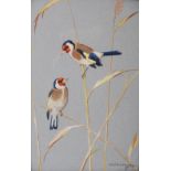 AR Ralston Gudgeon RSW (1910-1984) Goldfinches watercolour, signed lower right and inscribed verso