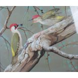 AR Ralston Gudgeon RSW (1910-1984) Woodpeckers watercolour, signed lower right 49.5cm x 60cm