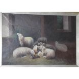 D. Motley Sheep in stable oil on canvas, signed lower left 38cm x 58cm