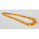 A graduated amber necklace, comprising thirty seven graduated oval shaped amber beads, the largest