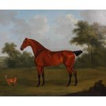 Francis Sartorius (1734-1804) Chestnut hunter and terrier in landscape oil on canvas, signed and