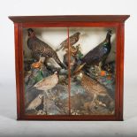 A late 19th century taxidermy display case, containing eight assorted specimen birds, 110.5cm wide x