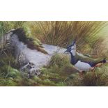 AR Terence Lambert (b.1951) Lapwing and chicks and another A pair of Geese two watercolours,