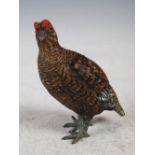 An early 20th century cold painted bronze figure of a Red Grouse, impressed numbers '837 1', 12.