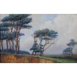 Lawrence G. Linnell Scotch Fir pastel and watercolour, signed lower right, inscribed on label