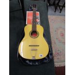 Acoustic guitar in bag with book