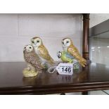 3 Beswick owls and a Blue Tit