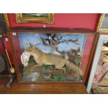 Taxidermy - Large cased fox and birds