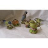 6 Aynsley bird figures