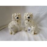 Small pair of Royal Doulton Staffordshire dogs