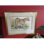 Signed watercolour - Tiger cub by Chris Saunderson