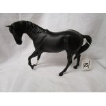 Black Beswick horse