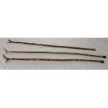 3 walking sticks, 2 with horn handles