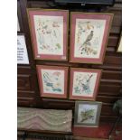 Set of 4 ornithological prints and another