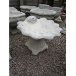 Stone Shell bird bath - large shell on decorative base