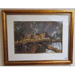 L/E & signed (in white crayon) large print - Leopard
