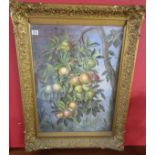 Watercolour - Fruit in gilt frame