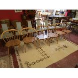 Set of 6 blonde elm Ercol chairs to include 2 carvers