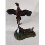 Cold cast painted bronze pheasants - Approx 31cm tall